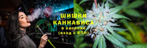 дмт Касимов