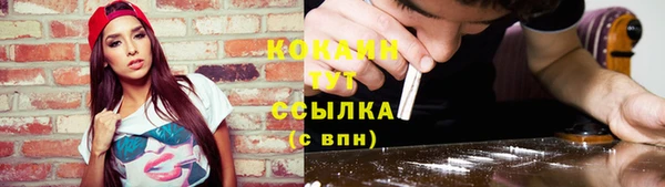 дмт Касимов