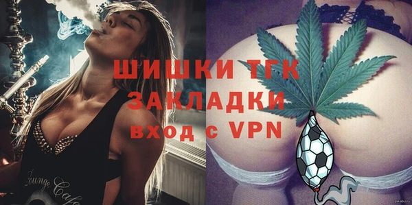 дмт Касимов