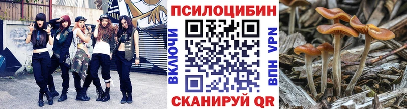 где купить   Невинномысск  Галлюциногенные грибы прущие грибы 